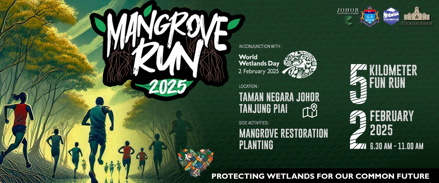 Mangrove Run 2025